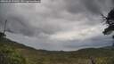./images/calvert/fitz-hugh-hecate/20250526/fitz-hugh-hecate20250526_131010M.jpg