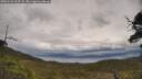 ./images/calvert/fitz-hugh-hecate/20250526/fitz-hugh-hecate20250526_133507M.jpg