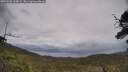 ./images/calvert/fitz-hugh-hecate/20250526/fitz-hugh-hecate20250526_135009M.jpg