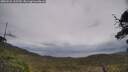 ./images/calvert/fitz-hugh-hecate/20250526/fitz-hugh-hecate20250526_135510M.jpg