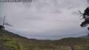 ./images/calvert/fitz-hugh-hecate/20250526/fitz-hugh-hecate20250526_140508M.jpg