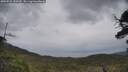 ./images/calvert/fitz-hugh-hecate/20250526/fitz-hugh-hecate20250526_141010M.jpg