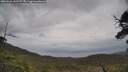./images/calvert/fitz-hugh-hecate/20250526/fitz-hugh-hecate20250526_141509M.jpg