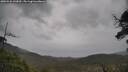 ./images/calvert/fitz-hugh-hecate/20250526/fitz-hugh-hecate20250526_143010M.jpg