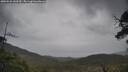 ./images/calvert/fitz-hugh-hecate/20250526/fitz-hugh-hecate20250526_143509M.jpg