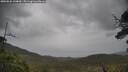 ./images/calvert/fitz-hugh-hecate/20250526/fitz-hugh-hecate20250526_144010M.jpg