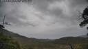 ./images/calvert/fitz-hugh-hecate/20250526/fitz-hugh-hecate20250526_144508M.jpg