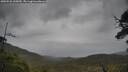 ./images/calvert/fitz-hugh-hecate/20250526/fitz-hugh-hecate20250526_145010M.jpg