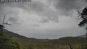 ./images/calvert/fitz-hugh-hecate/20250526/fitz-hugh-hecate20250526_150509M.jpg