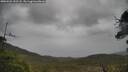 ./images/calvert/fitz-hugh-hecate/20250526/fitz-hugh-hecate20250526_151507M.jpg