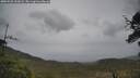 ./images/calvert/fitz-hugh-hecate/20250526/fitz-hugh-hecate20250526_152008M.jpg