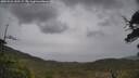 ./images/calvert/fitz-hugh-hecate/20250526/fitz-hugh-hecate20250526_152508M.jpg