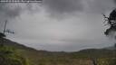 ./images/calvert/fitz-hugh-hecate/20250526/fitz-hugh-hecate20250526_153010M.jpg