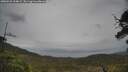 ./images/calvert/fitz-hugh-hecate/20250526/fitz-hugh-hecate20250526_154009M.jpg