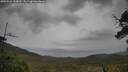 ./images/calvert/fitz-hugh-hecate/20250526/fitz-hugh-hecate20250526_154510M.jpg
