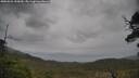./images/calvert/fitz-hugh-hecate/20250526/fitz-hugh-hecate20250526_155010M.jpg
