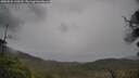 ./images/calvert/fitz-hugh-hecate/20250526/fitz-hugh-hecate20250526_160509M.jpg