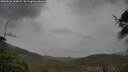 ./images/calvert/fitz-hugh-hecate/20250526/fitz-hugh-hecate20250526_161009M.jpg