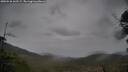 ./images/calvert/fitz-hugh-hecate/20250526/fitz-hugh-hecate20250526_162509M.jpg