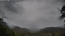 ./images/calvert/fitz-hugh-hecate/20250526/fitz-hugh-hecate20250526_164008M.jpg