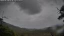 ./images/calvert/fitz-hugh-hecate/20250526/fitz-hugh-hecate20250526_164510M.jpg