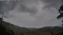 ./images/calvert/fitz-hugh-hecate/20250526/fitz-hugh-hecate20250526_170509M.jpg