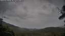 ./images/calvert/fitz-hugh-hecate/20250526/fitz-hugh-hecate20250526_171010M.jpg
