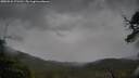 ./images/calvert/fitz-hugh-hecate/20250526/fitz-hugh-hecate20250526_171510M.jpg