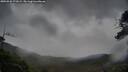 ./images/calvert/fitz-hugh-hecate/20250526/fitz-hugh-hecate20250526_172009M.jpg