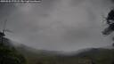 ./images/calvert/fitz-hugh-hecate/20250526/fitz-hugh-hecate20250526_172507M.jpg