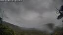 ./images/calvert/fitz-hugh-hecate/20250526/fitz-hugh-hecate20250526_174010M.jpg