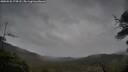 ./images/calvert/fitz-hugh-hecate/20250526/fitz-hugh-hecate20250526_174508M.jpg