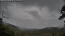 ./images/calvert/fitz-hugh-hecate/20250526/fitz-hugh-hecate20250526_175009M.jpg