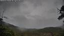./images/calvert/fitz-hugh-hecate/20250526/fitz-hugh-hecate20250526_175509M.jpg