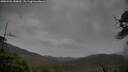 ./images/calvert/fitz-hugh-hecate/20250526/fitz-hugh-hecate20250526_180012M.jpg