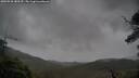 ./images/calvert/fitz-hugh-hecate/20250526/fitz-hugh-hecate20250526_180510M.jpg