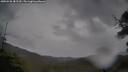 ./images/calvert/fitz-hugh-hecate/20250526/fitz-hugh-hecate20250526_182510M.jpg
