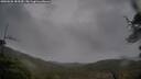 ./images/calvert/fitz-hugh-hecate/20250526/fitz-hugh-hecate20250526_183509M.jpg