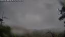 ./images/calvert/fitz-hugh-hecate/20250526/fitz-hugh-hecate20250526_184010M.jpg