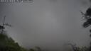 ./images/calvert/fitz-hugh-hecate/20250526/fitz-hugh-hecate20250526_185009M.jpg