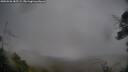 ./images/calvert/fitz-hugh-hecate/20250526/fitz-hugh-hecate20250526_185508M.jpg