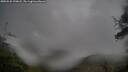 ./images/calvert/fitz-hugh-hecate/20250526/fitz-hugh-hecate20250526_190008M.jpg