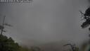 ./images/calvert/fitz-hugh-hecate/20250526/fitz-hugh-hecate20250526_190508M.jpg