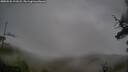 ./images/calvert/fitz-hugh-hecate/20250526/fitz-hugh-hecate20250526_191008M.jpg