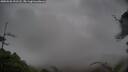 ./images/calvert/fitz-hugh-hecate/20250526/fitz-hugh-hecate20250526_191507M.jpg