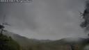./images/calvert/fitz-hugh-hecate/20250526/fitz-hugh-hecate20250526_194009M.jpg