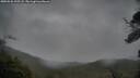 ./images/calvert/fitz-hugh-hecate/20250526/fitz-hugh-hecate20250526_195508M.jpg