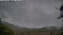 ./images/calvert/fitz-hugh-hecate/20250526/fitz-hugh-hecate20250526_200508M.jpg