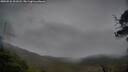 ./images/calvert/fitz-hugh-hecate/20250526/fitz-hugh-hecate20250526_201008M.jpg