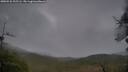 ./images/calvert/fitz-hugh-hecate/20250526/fitz-hugh-hecate20250526_202506M.jpg